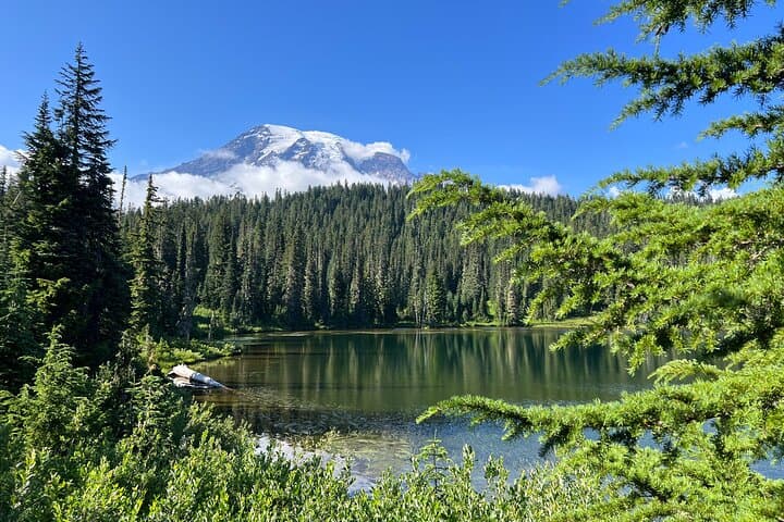 Mount Rainier Day Trip from Seattle: Paradise, Waterfalls & Reflection Lakes photo 3