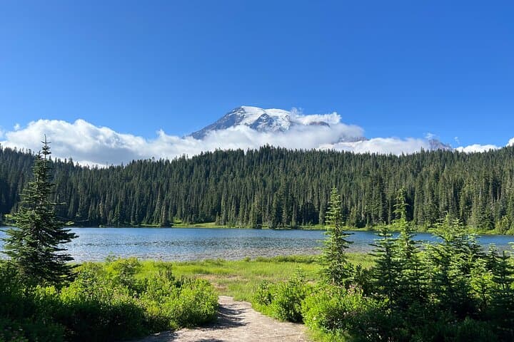Mount Rainier Day Trip from Seattle: Paradise, Waterfalls & Reflection Lakes photo 5