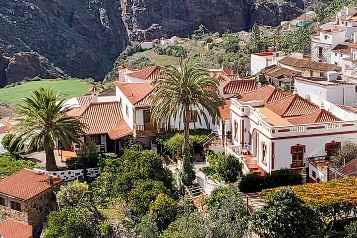 Private Mountain Excursion in Gran Canaria: Tejeda, Pico de las Nieves & Villages photo 5
