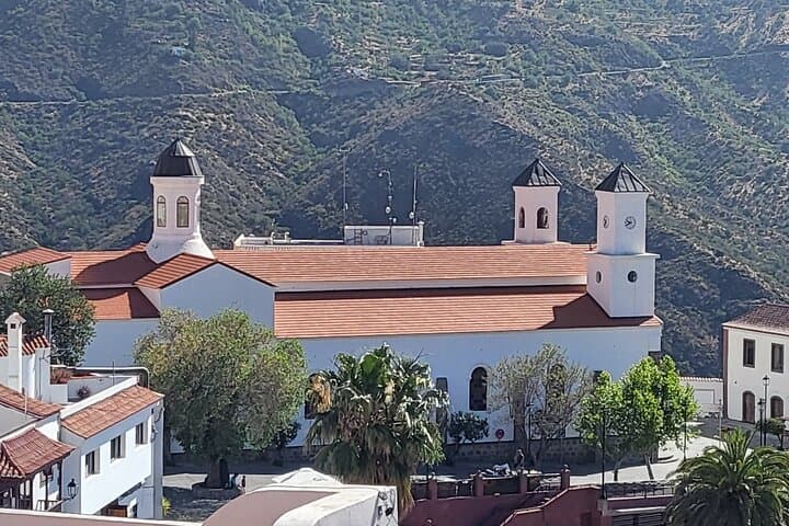 Private Mountain Excursion in Gran Canaria: Tejeda, Pico de las Nieves & Villages photo 6