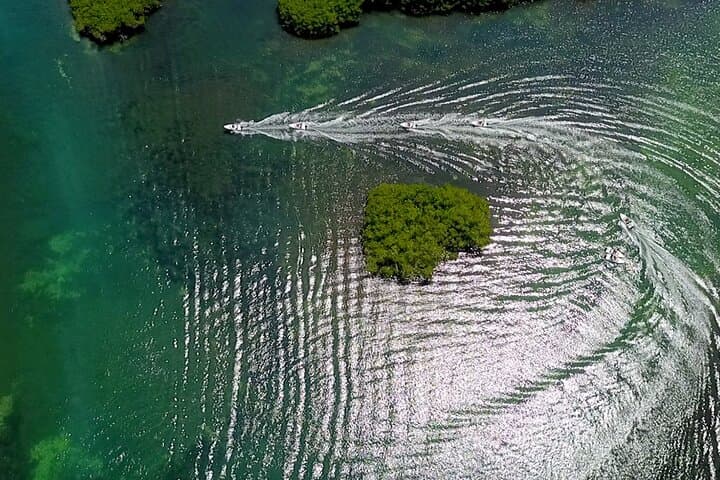 Drive Your Own Speedboat and Snorkel Ángel Reef — Cancún SpeeBoat Tour photo 4