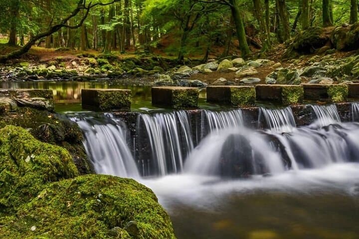 St. Patrick’s Trail, Game of Thrones & Irish Whiskey: Private Full-Day Tour from Belfast photo 2