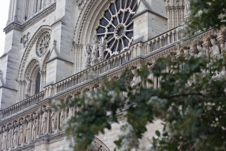 Conquer Paris in 2 Hours: Fast-Paced Walking Tour of Notre-Dame, Île de la Cité & the Louvre