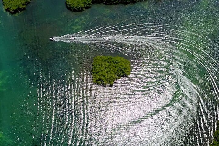 Drive Your Own Speedboat Through Nichupte Lagoon's Mangrove Canals photo 4