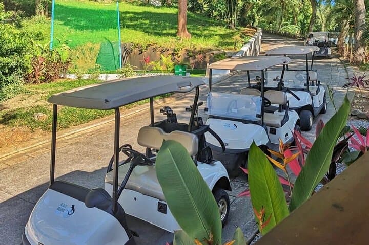 Private Black Iguana Golf in Roatan: Oceanfront 9-Hole Adventure with Guided Transport photo 2