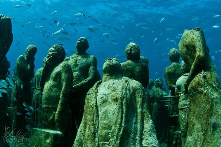 Discover Scuba at MUSA: Beginner Dives to Cancun’s Underwater Museum photo 6