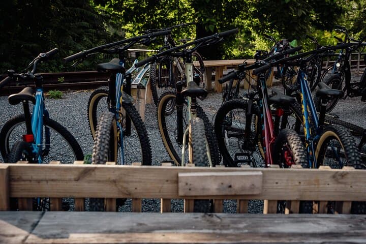 Ride Mill Mountain: Guided Mountain Bike Tour from the Roanoke Star photo 5