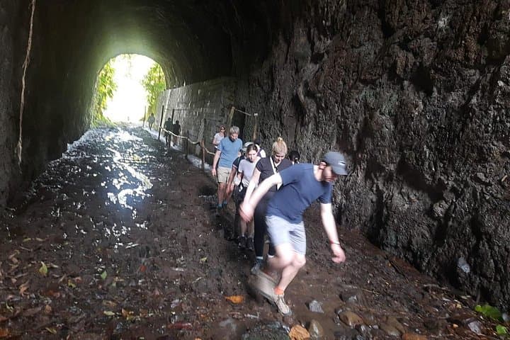 Salento, Cocora Valley & Santa Rita Waterfall: Day Tour from Pereira or Armenia photo 4
