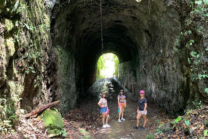 Salento, Cocora Valley & Santa Rita Waterfall: Day Tour from Pereira or Armenia photo 3