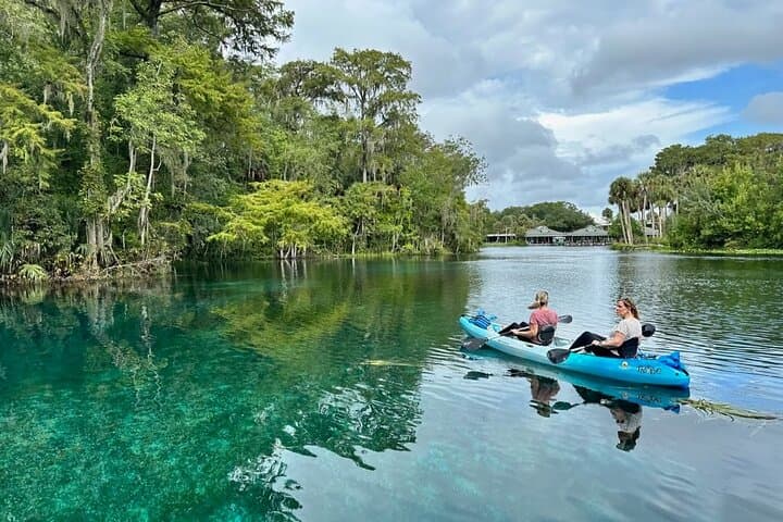 Silver Springs Kayak Rental: 5-Mile Self-Guided Paddle Through Florida Springs photo 5