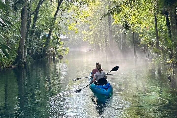 Silver Springs Kayak Rental: 5-Mile Self-Guided Paddle Through Florida Springs photo 4