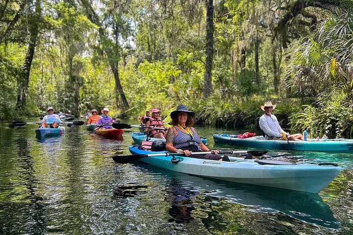 Silver Springs Kayak Rental: 5-Mile Self-Guided Paddle Through Florida Springs photo 2