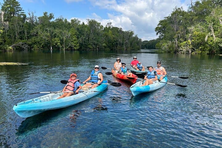 Silver Springs Kayak Rental: 5-Mile Self-Guided Paddle Through Florida Springs photo 3