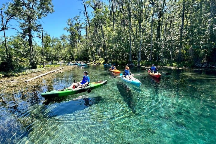 Silver Springs Kayak Rental: 5-Mile Self-Guided Paddle Through Florida Springs photo 6