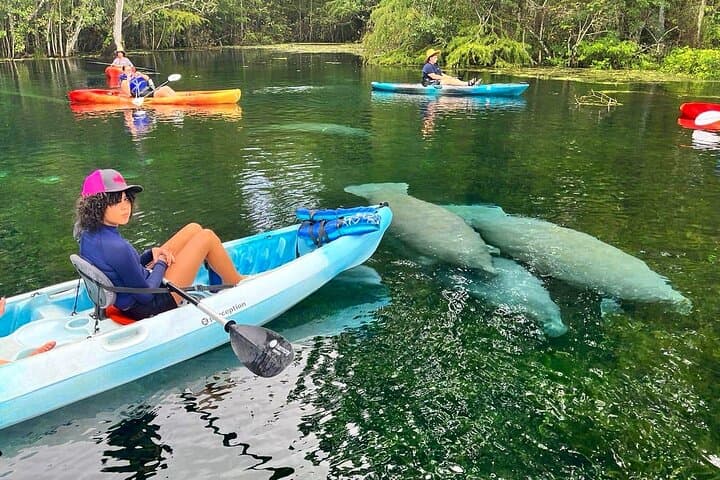 Silver Springs Kayak Rental: 5-Mile Self-Guided Paddle Through Florida Springs
