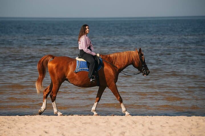 Private Beach Horseback Ride from Riga — Baltic Sea Dunes & Pine Trails