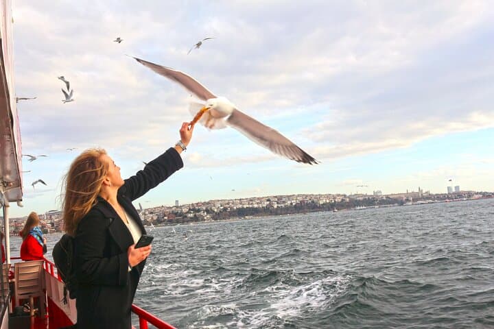 Afternoon Bosphorus Cruise: Scenic Sail Between Europe and Asia