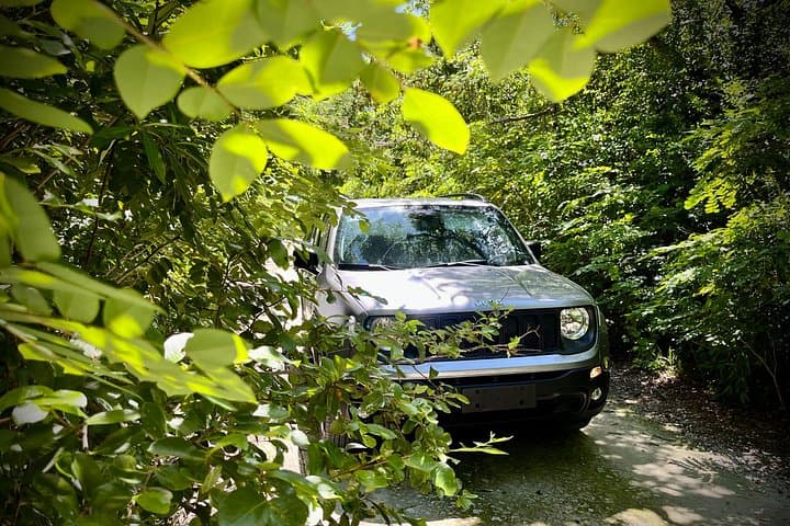 Cozumel Hidden-Gems Private Jeep Tour — Off-the-Beaten-Path Island Experience photo 3