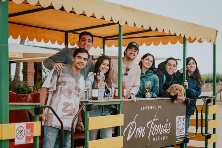 Tractor Pull Through Valle de Guadalupe: Vineyard Tractor Tour & Wine Tasting