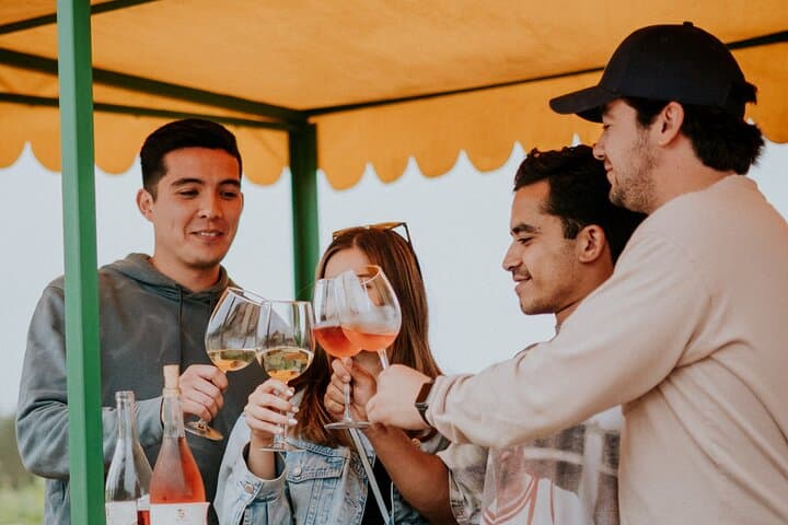 Tractor Pull Through Valle de Guadalupe: Vineyard Tractor Tour & Wine Tasting photo 6
