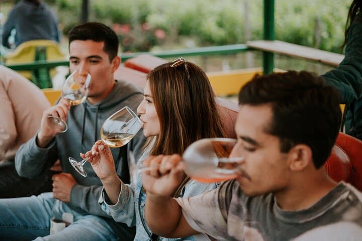 Tractor Pull Through Valle de Guadalupe: Vineyard Tractor Tour & Wine Tasting photo 4