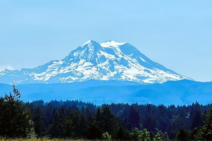 Mount Rainier Day Trip from Seattle: Paradise, Waterfalls & Reflection Lakes photo 2