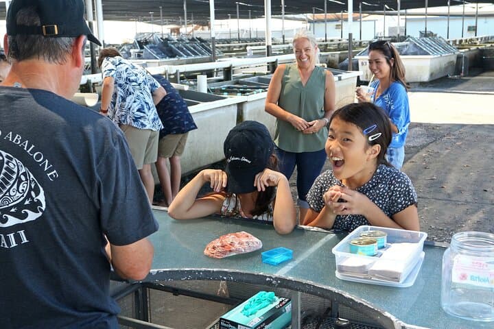 Big Island Abalone Farm Tour: Interactive Abalone Tasting & Farm Visit