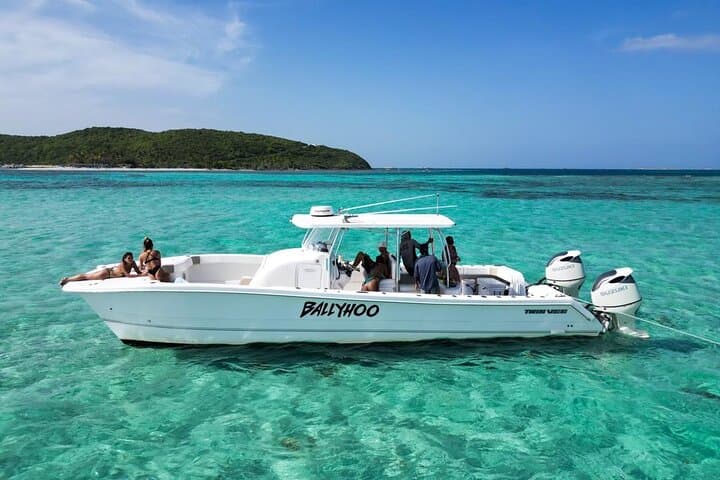 Private SCUBA Dive and Snorkel Charter in Puerto Rico — Shallow Reef Adventures photo 2