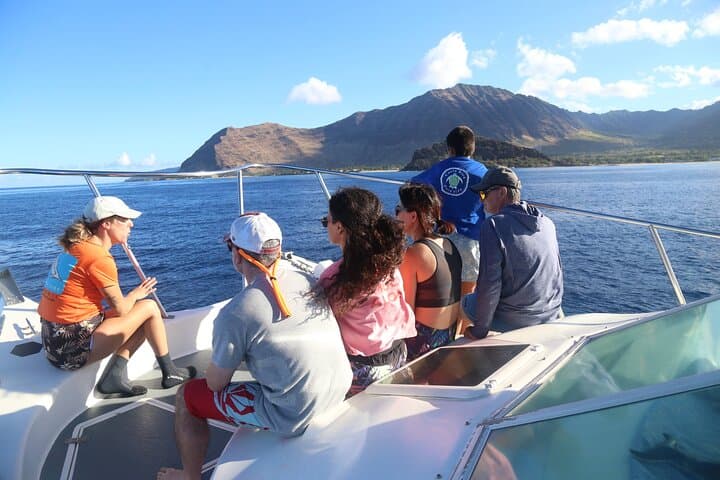 Private Sea'fari Expedition: Oahu Marine Wildlife & Citizen Science Charter photo 4