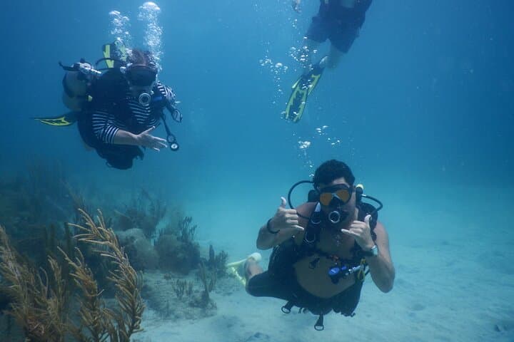 Private SCUBA Dive and Snorkel Charter in Puerto Rico — Shallow Reef Adventures
