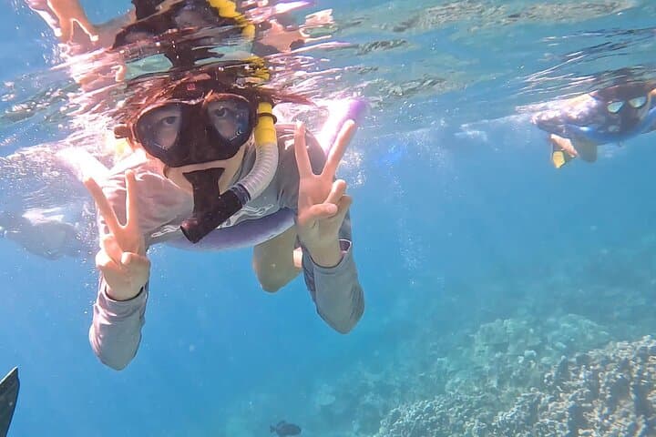 Exploring Kealakekua Bay: A Captain Cook Reef Snorkeling Adventure photo 5