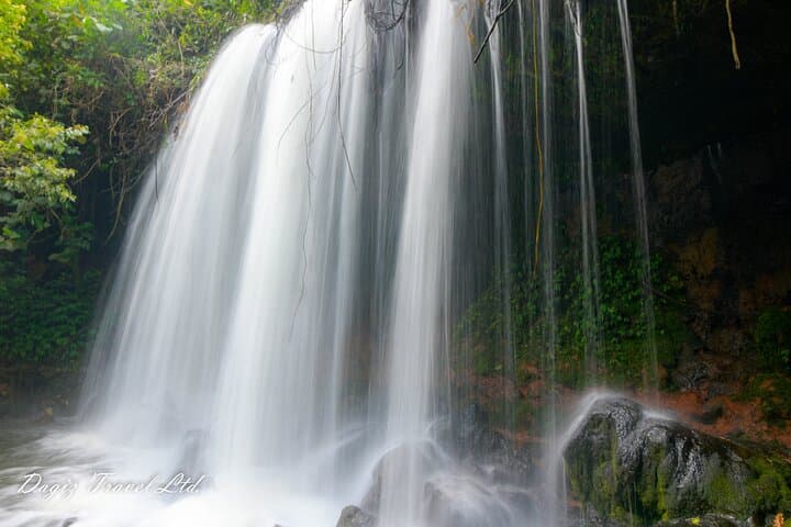 3-Day Bwindi Gorilla Trekking Experience in Uganda photo 4