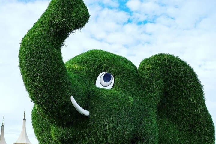 Dubai Miracle Garden Entry Tickets and Optional Private Transport photo 4