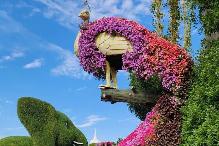 Dubai Miracle Garden Entry Tickets and Optional Private Transport photo 6