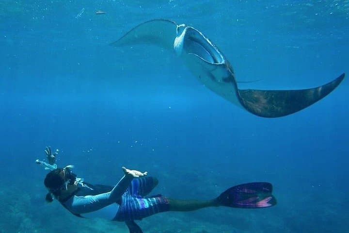 Snorkel with Manta Rays: Full-Day Nusa Lembongan & Penida from Bali photo 3