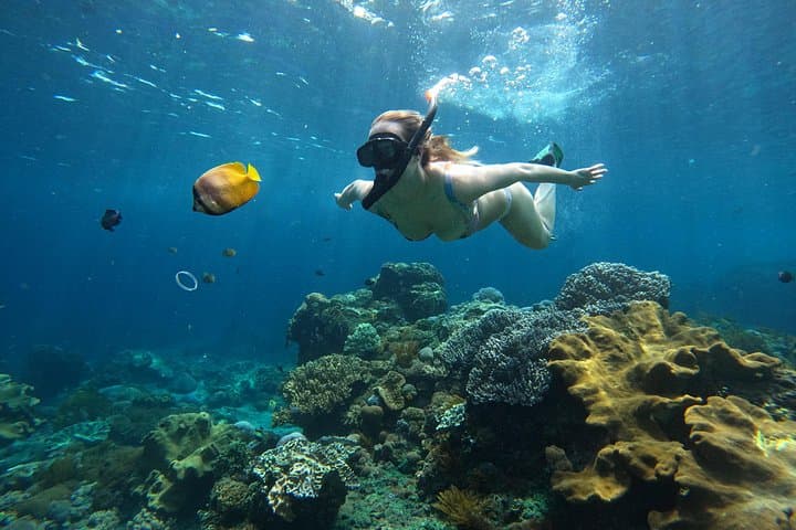 Snorkel with Manta Rays: Full-Day Nusa Lembongan & Penida from Bali photo 5
