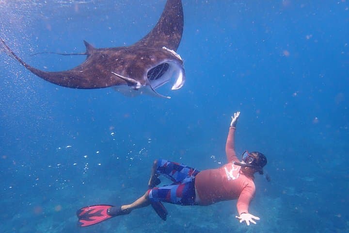 Snorkel with Manta Rays: Full-Day Nusa Lembongan & Penida from Bali