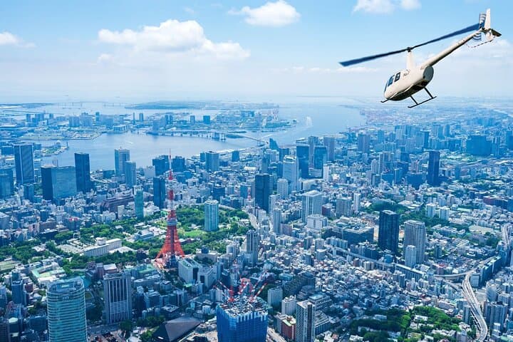Tokyo Skyline from Above: Private 30-Minute Central Helicopter Tour photo 3