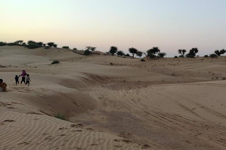 Jodhpur Desert Camel and Jeep Safari: Osian Sunset Tour with Rajasthani Dinner photo 4
