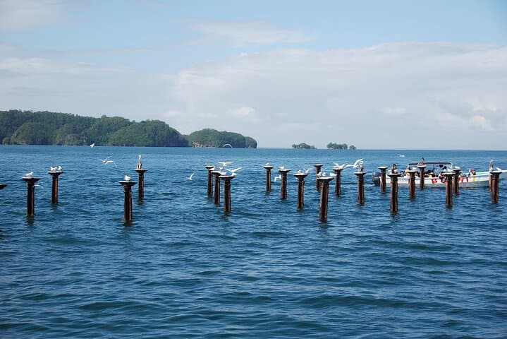 Los Haitises, Montaña Redonda & Yanigua Waterfall: Full-Day Adventure from Punta Cana