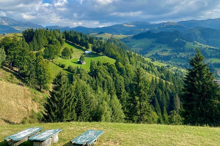 Transylvanian Treasures Day Tour from Bucharest: Peleș Castle, Sinaia & Carpathian Villages