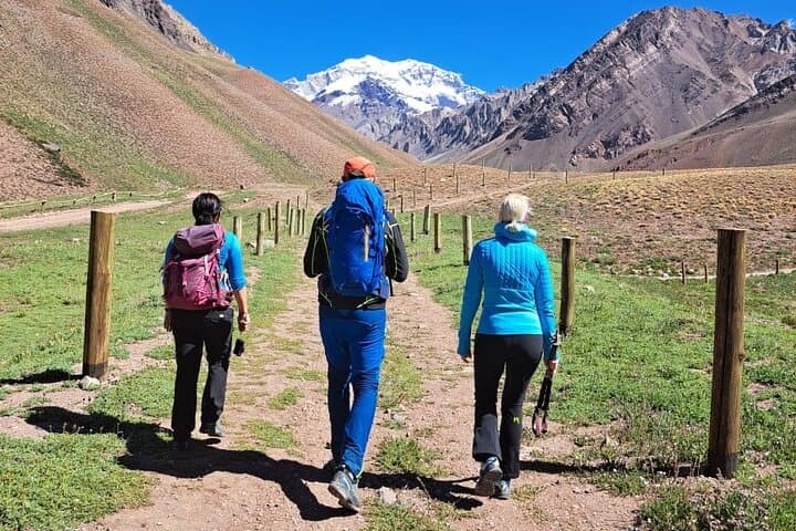 Day Trek to Aconcagua Park: Horcones Valley Hike with Mountain Views photo 2