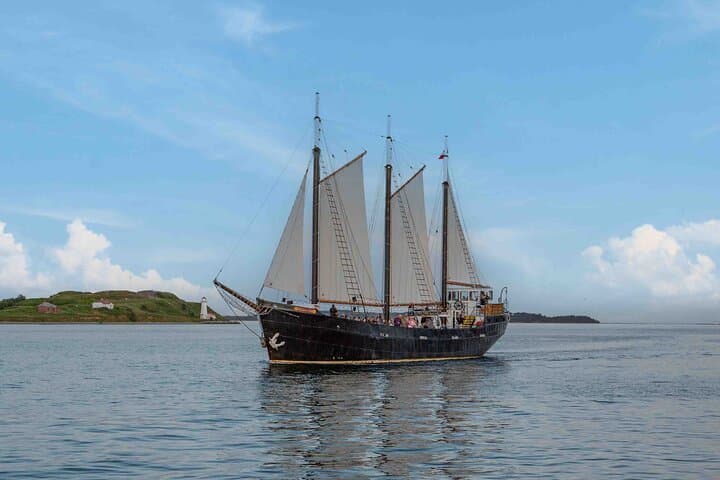 Sail Halifax Harbour Aboard the Tall Ship Silva — Live Music Cruise