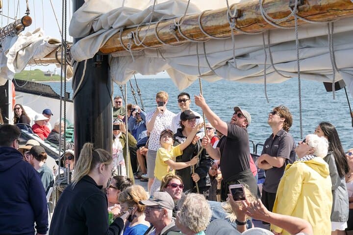 Sail Halifax Harbour Aboard the Tall Ship Silva — Live Music Cruise photo 3