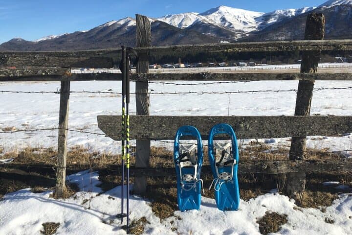 Snowshoeing Bakuriani: Winter Hikes Through Pine Forests & Village Ruins