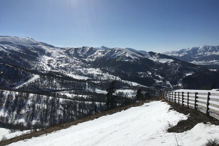 Snowshoeing Bakuriani: Winter Hikes Through Pine Forests & Village Ruins photo 5
