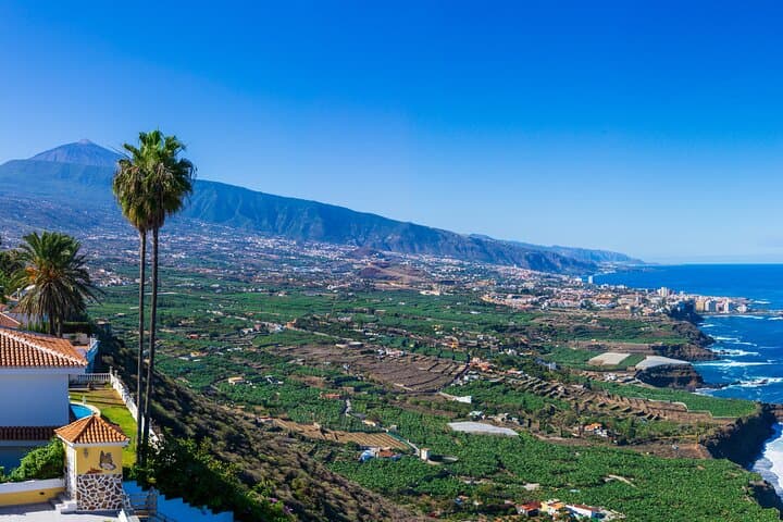 Teide & Northern Tenerife Private Tour: Geologist-Led Day Trip to Teide National Park and Orotava Valley photo 3