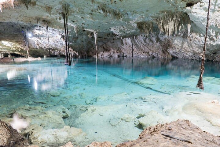 VIP Cenote Snorkeling in Taak Bi Ha & Nicte Ha — Private Tour from Tulum photo 2