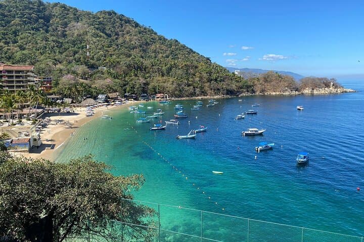 Private Puerto Vallarta & Subtropical Forest Tour: Malecón, Tequila Tasting & Coastal Viewpoints photo 4