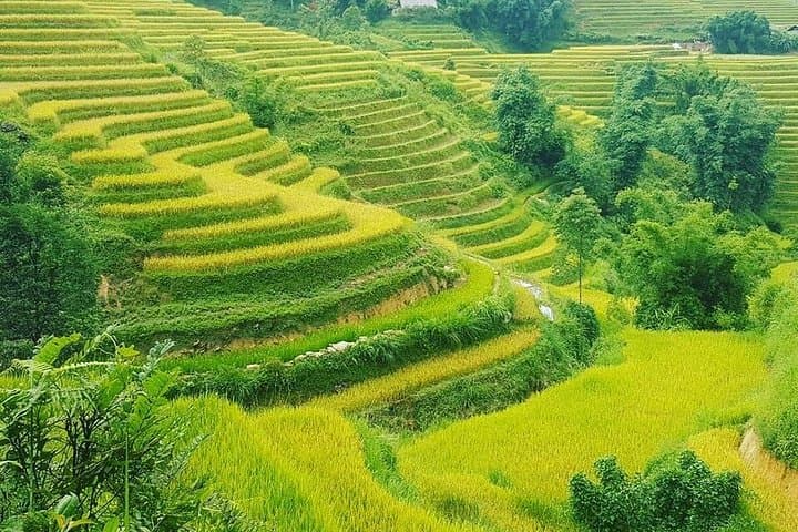 Sapa 5-Hour Trek: Muong Hoa Valley Terraced Rice Fields & Ethnic Villages photo 2